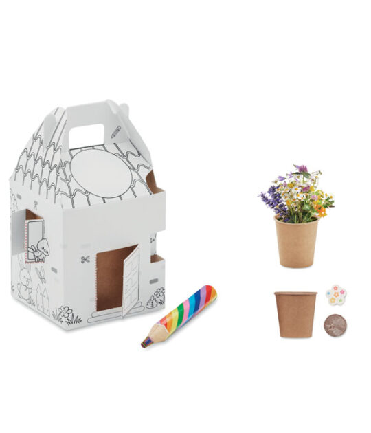 Set da coltivazione per bambini. Include semi di fiori per le api e matita di legno multicolore.